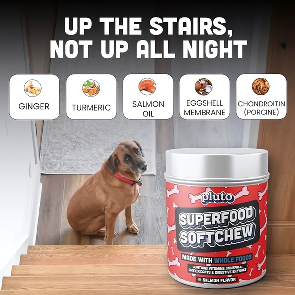 A 1:1 format ad showing a dog near stairs alongside a tub of Superfood Softchew, highlighting five key active ingredients for joint and health support.